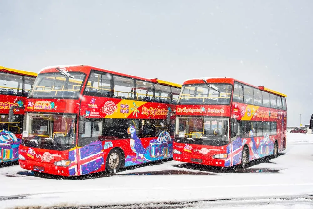 Hop-on-Hop-off-Busse von City Sightseeing Reykjavík im Schneetreiben