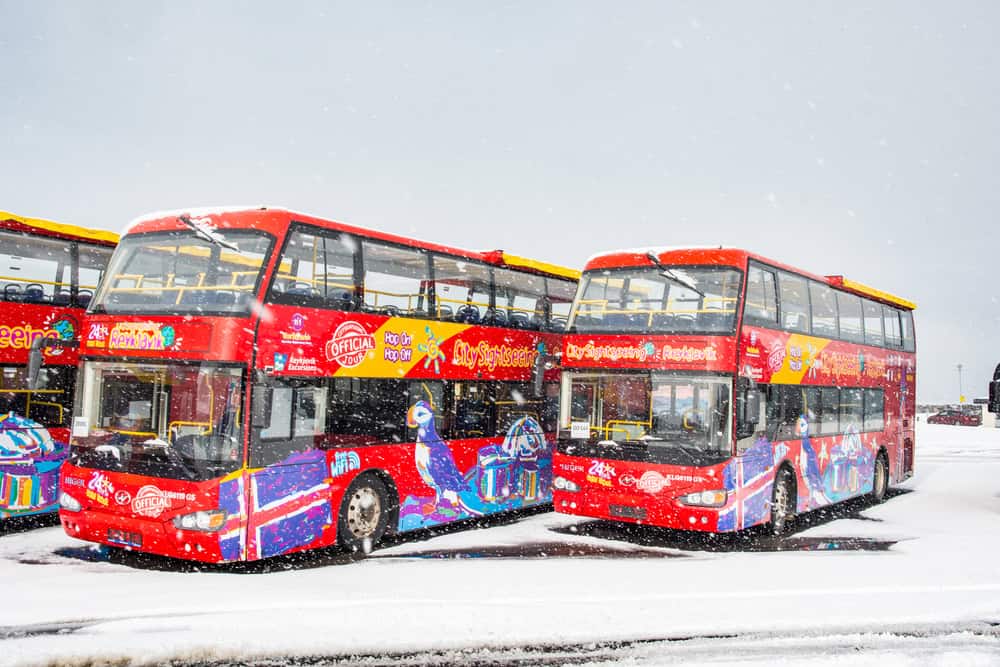 Hop-on/Hop-off-Busse von City Sightseeing Reykjavik im Schneegestöber