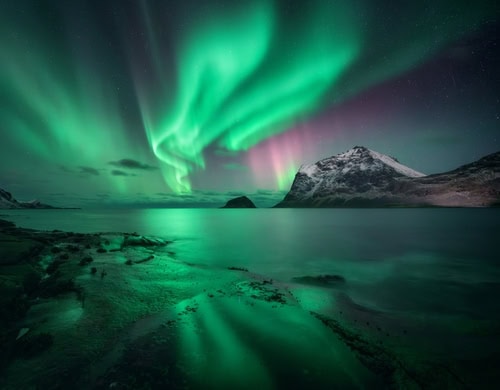 Aurora borealis über dem Meer, schneebedeckte Berge bei sternigem Winterabend